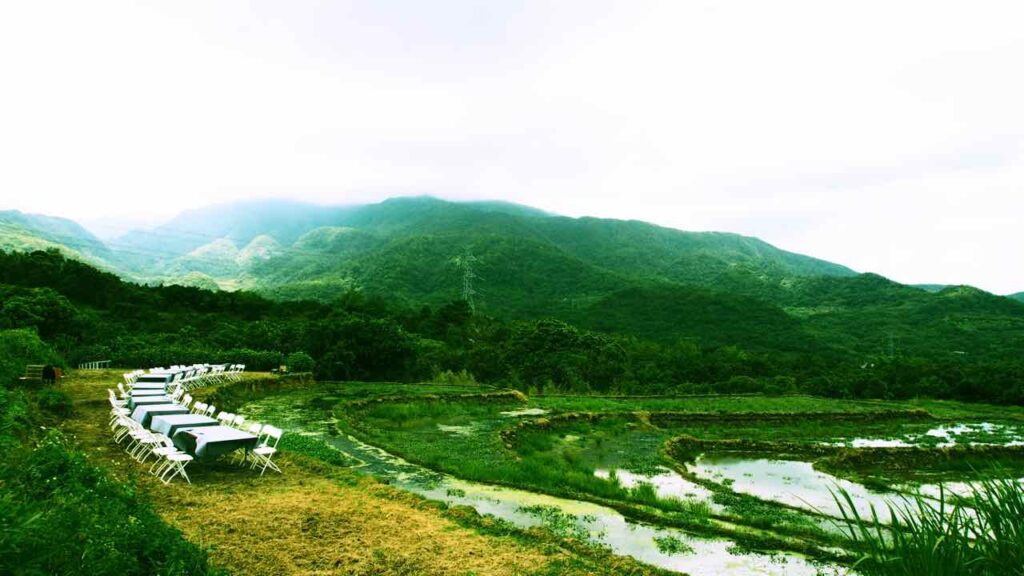 稻田裡的餐桌