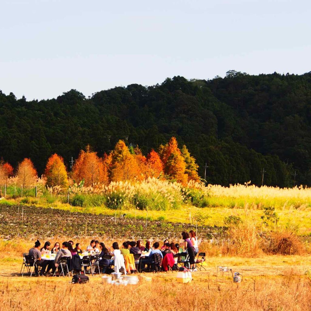 稻田裡的餐桌